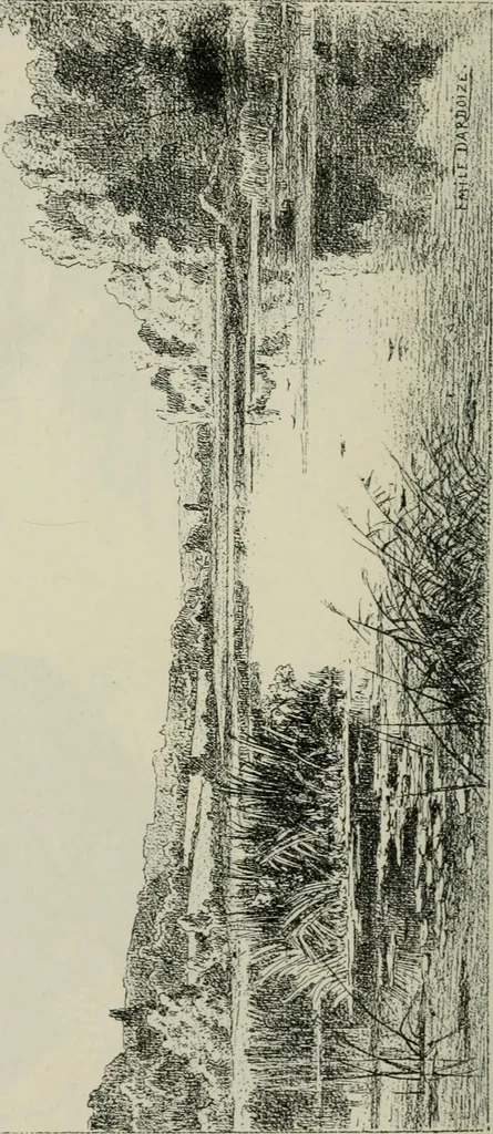 An illustration from Catalogue illustré, 1879, leaf 211