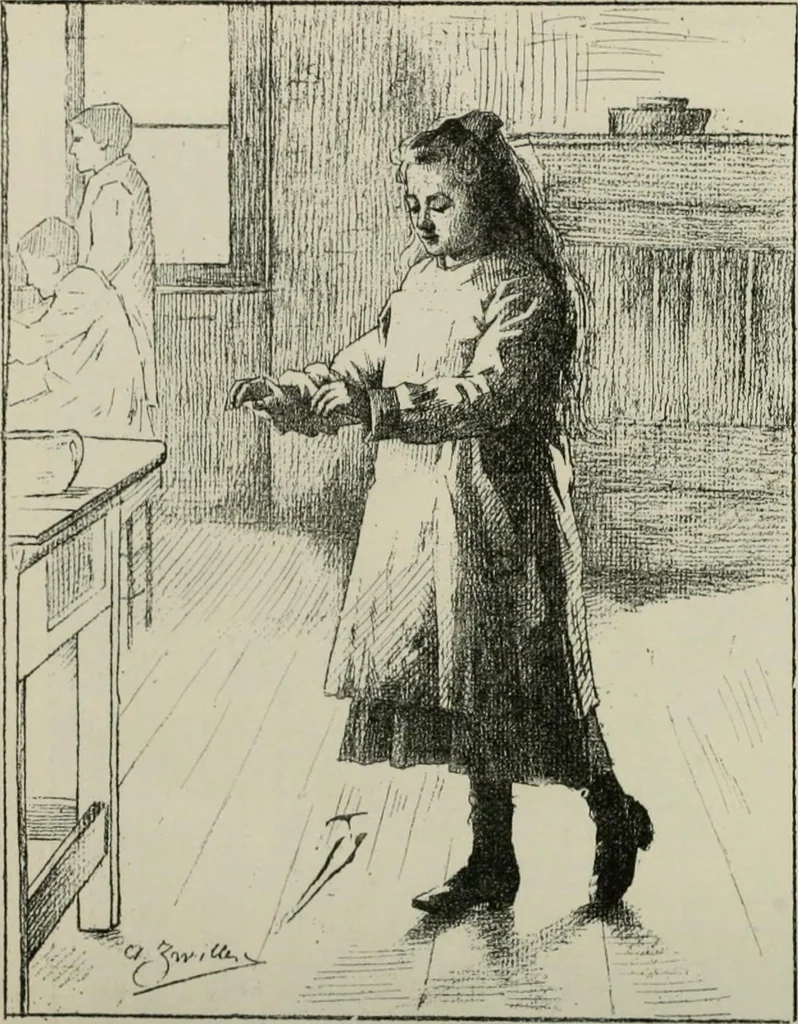 An illustration from Catalogue illustré, 1879, leaf 213