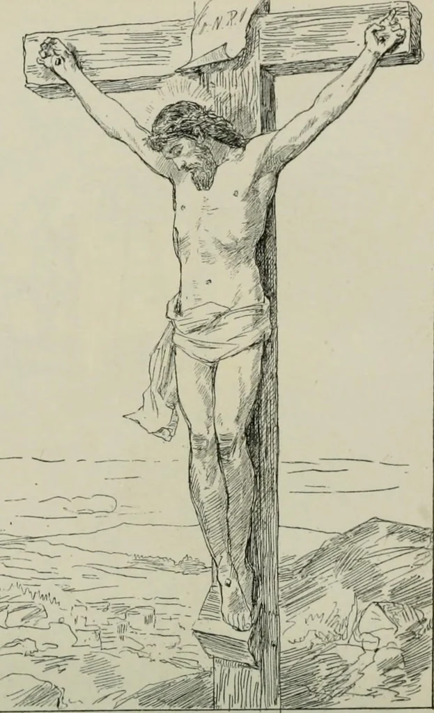 An illustration from Catalogue illustré, 1879, leaf 217