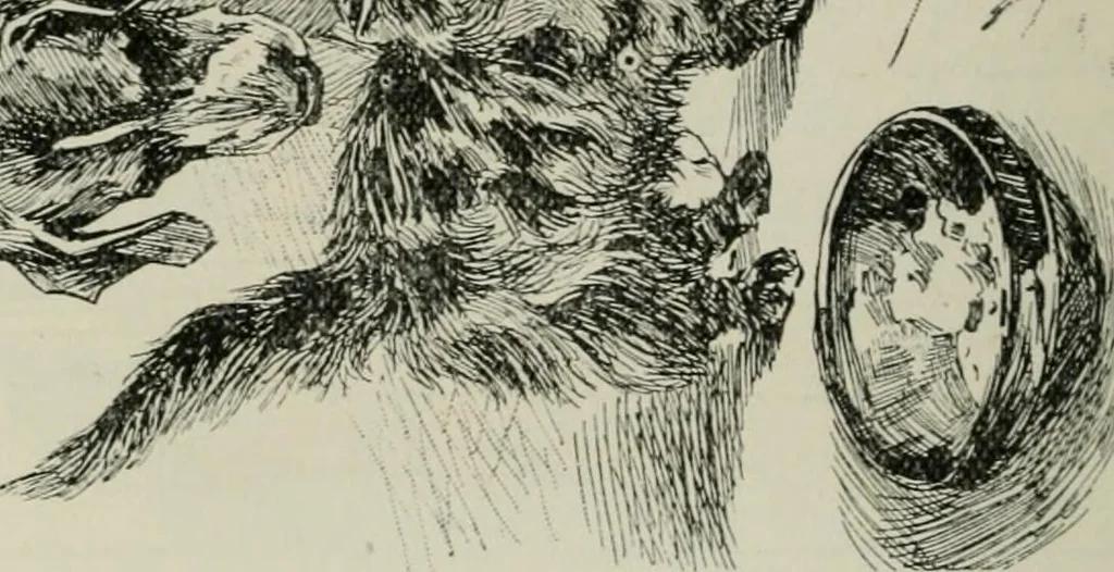 An illustration from Catalogue illustré, 1879, leaf 223