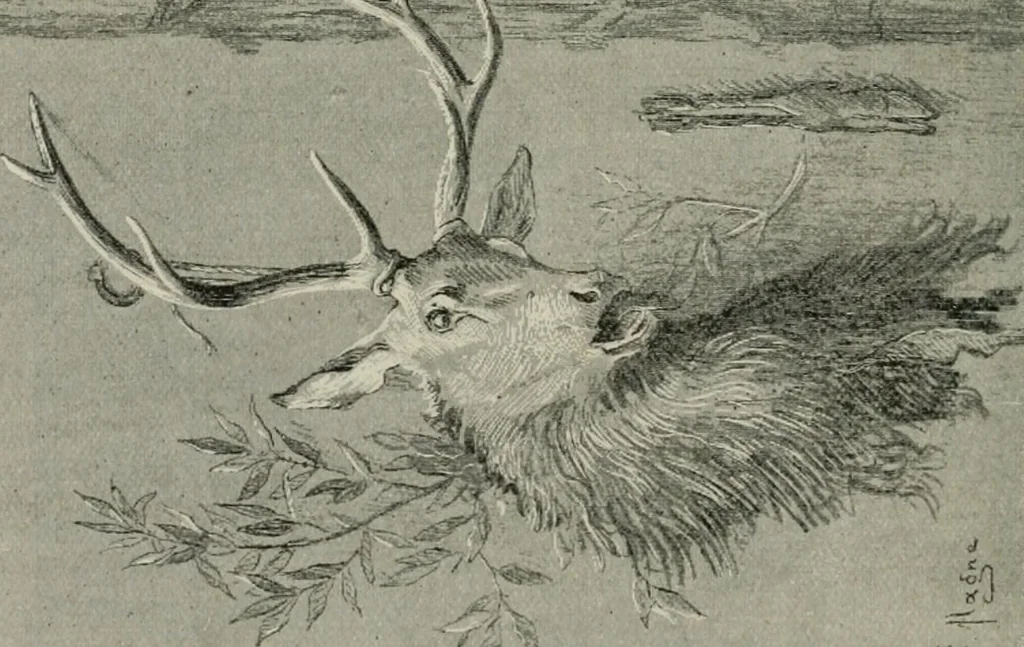 An illustration from Catalogue illustré, 1879, leaf 223