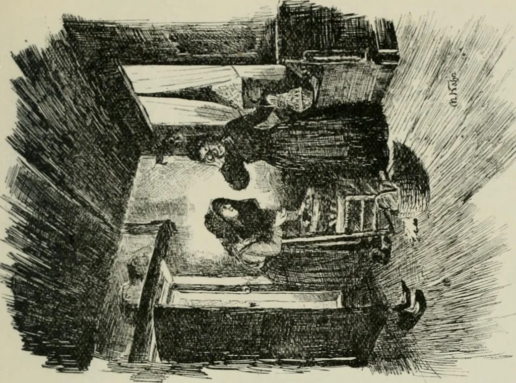 An illustration from Catalogue illustré, 1879, leaf 224