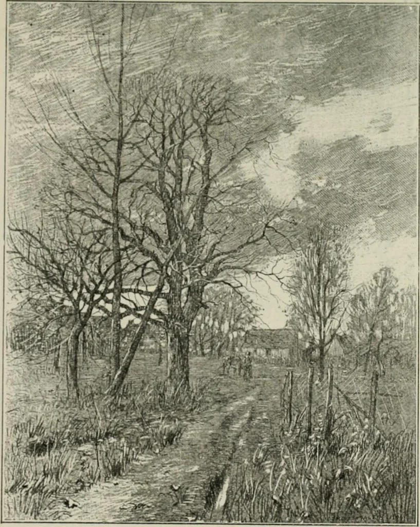 An illustration from Catalogue illustré, 1879, leaf 224
