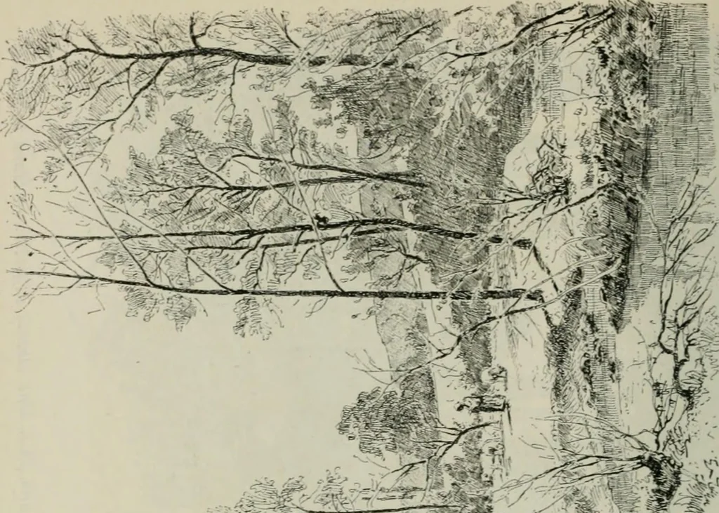An illustration from Catalogue illustré, 1879, leaf 225