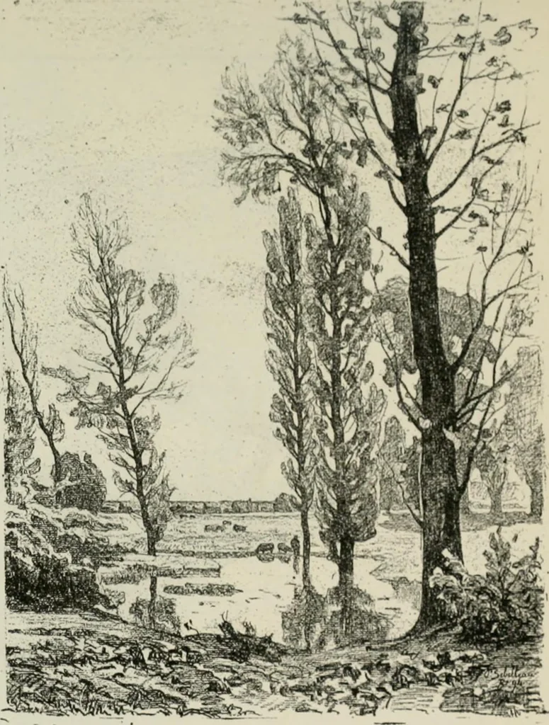 An illustration from Catalogue illustré, 1879, leaf 226