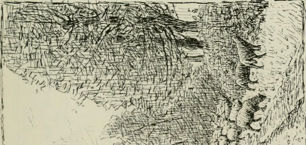 An illustration from Catalogue illustré, 1879, leaf 226
