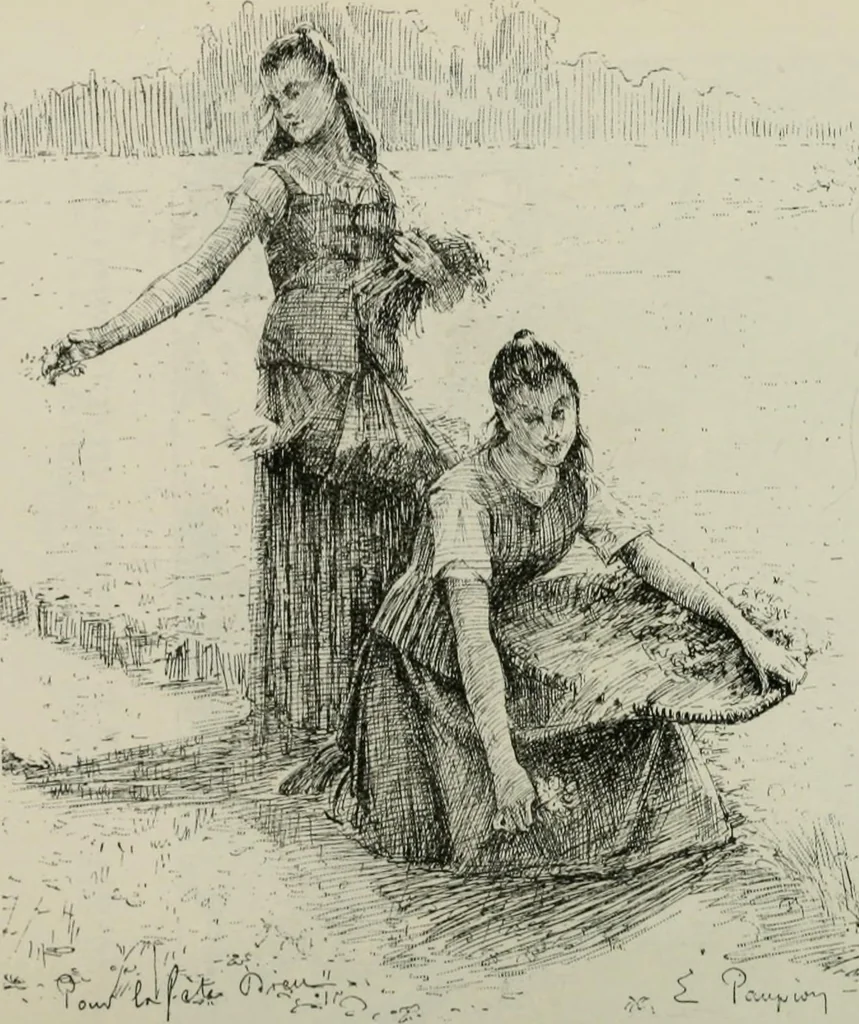 An illustration from Catalogue illustré, 1879, leaf 229