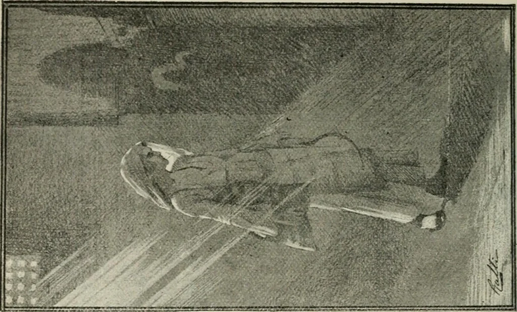 An illustration from Catalogue illustré, 1879, leaf 231