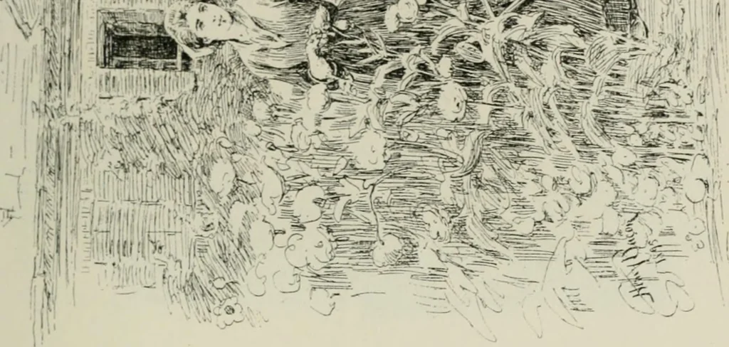 An illustration from Catalogue illustré, 1879, leaf 232