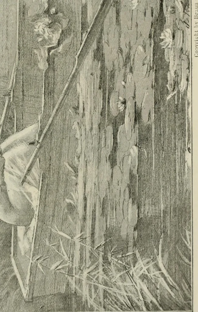 An illustration from Catalogue illustré, 1879, leaf 236