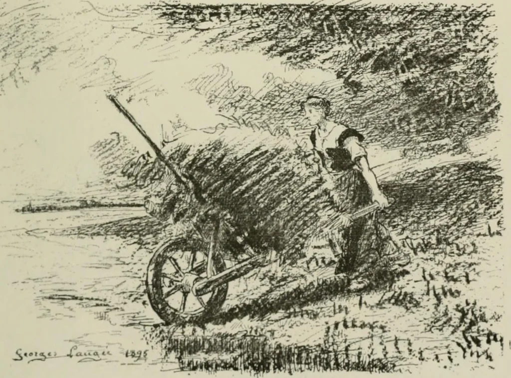 An illustration from Catalogue illustré, 1879, leaf 238