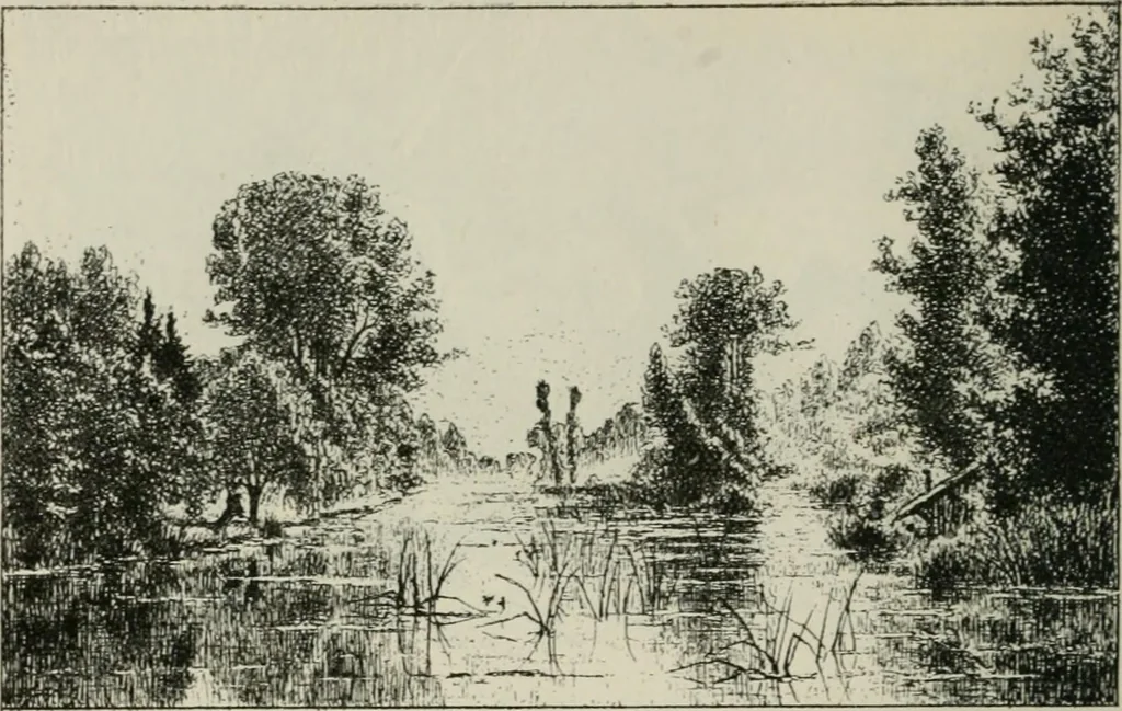 An illustration from Catalogue illustré, 1879, leaf 239