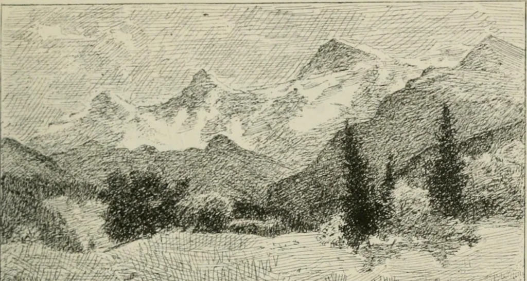 An illustration from Catalogue illustré, 1879, leaf 240