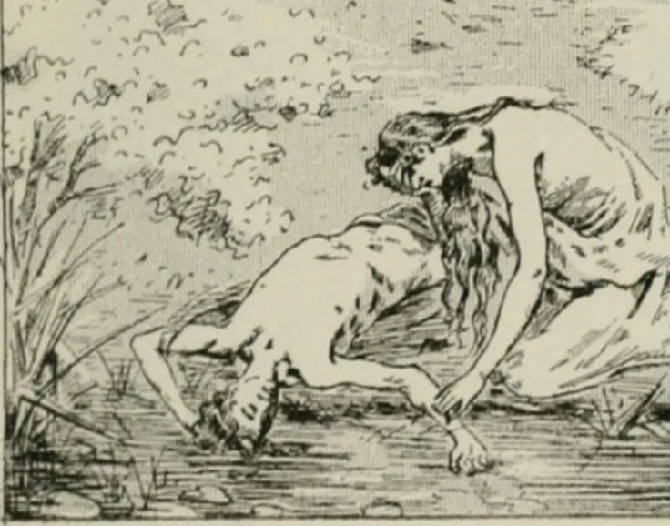 An illustration from Catalogue illustré, 1879, leaf 240