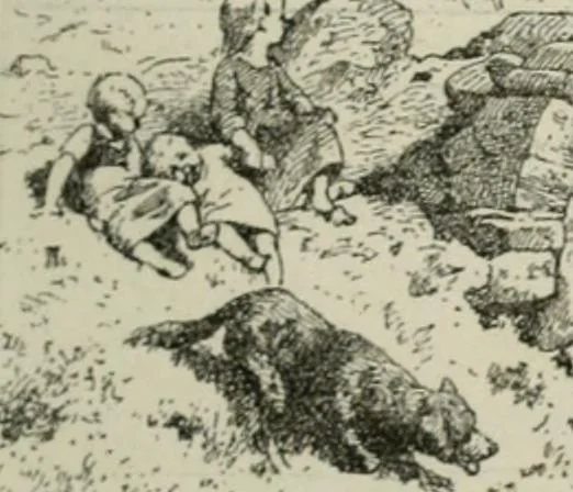 An illustration from Catalogue illustré, 1879, leaf 244