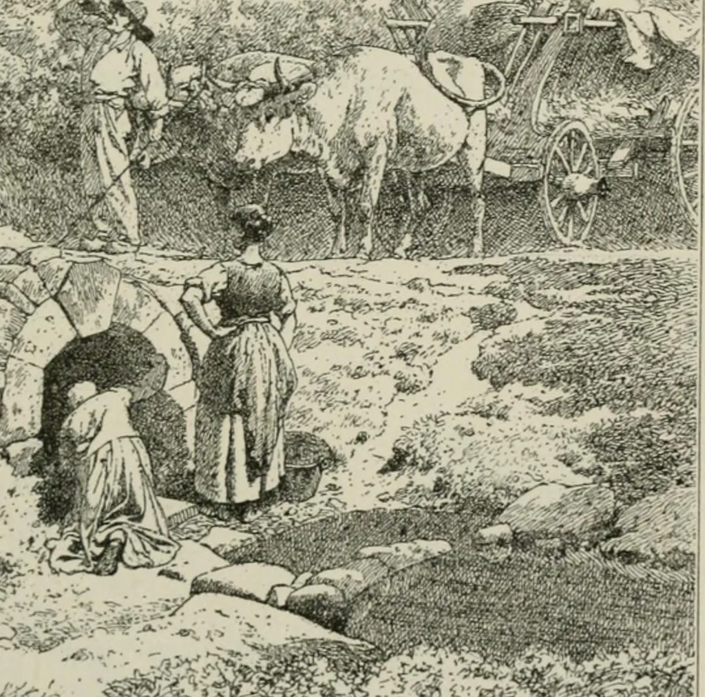 An illustration from Catalogue illustré, 1879, leaf 244