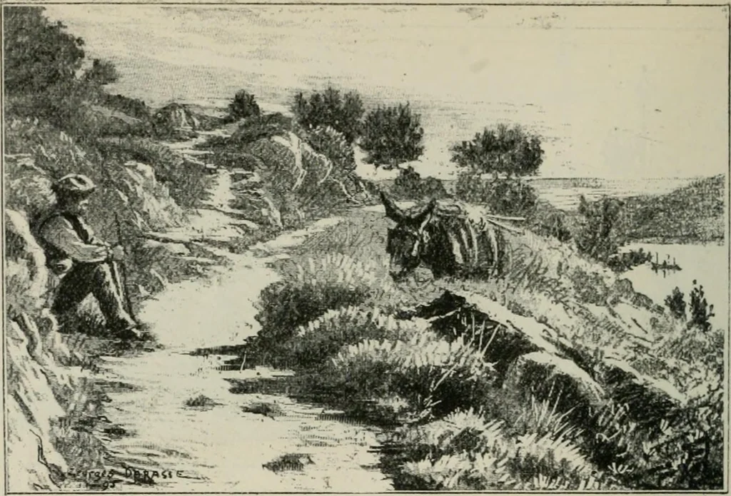 An illustration from Catalogue illustré, 1879, leaf 251