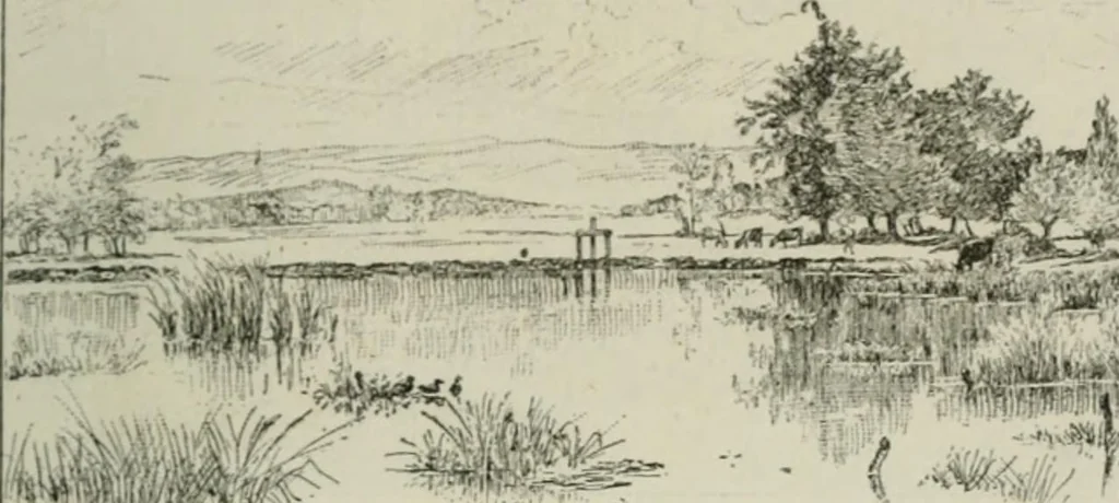 An illustration from Catalogue illustré, 1879, leaf 252