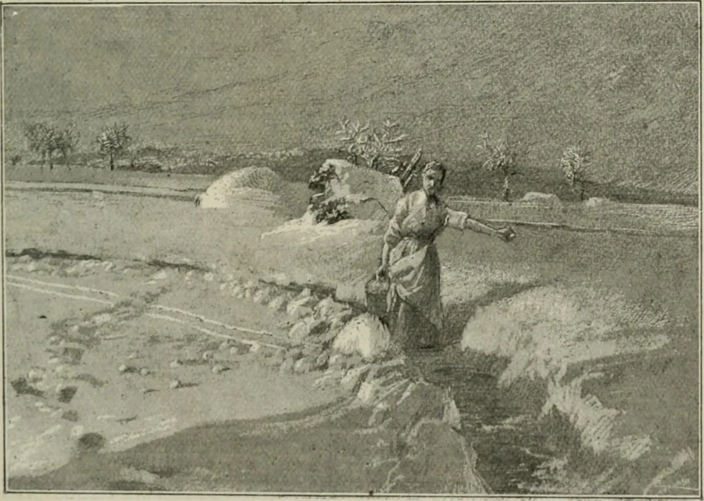 An illustration from Catalogue illustré, 1879, leaf 252