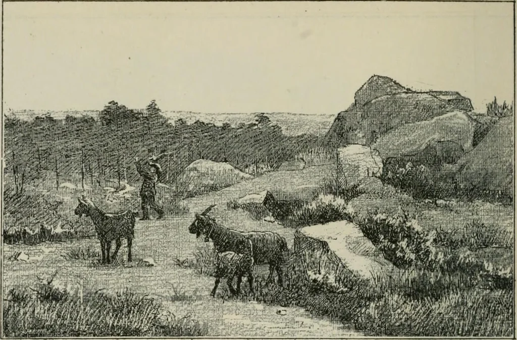 An illustration from Catalogue illustré, 1879, leaf 253