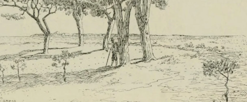 An illustration from Catalogue illustré, 1879, leaf 256