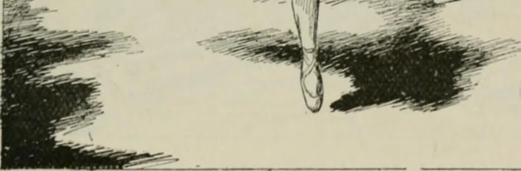 An illustration from Catalogue illustré, 1879, leaf 256