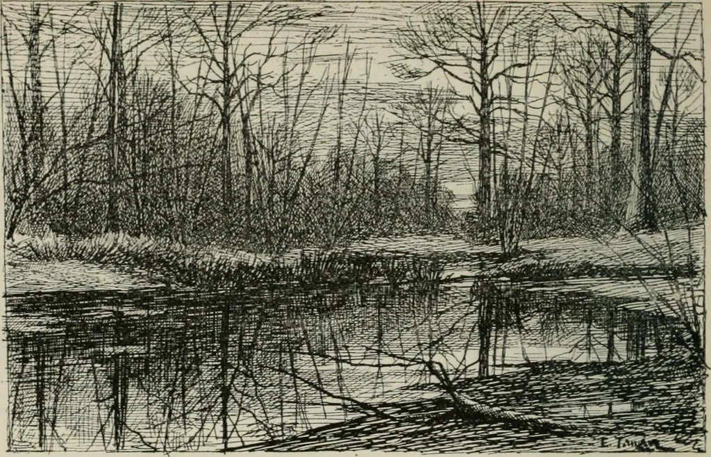 An illustration from Catalogue illustré, 1879, leaf 259