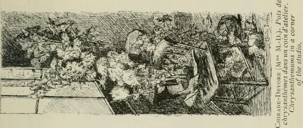An illustration from Catalogue illustré, 1879, leaf 264