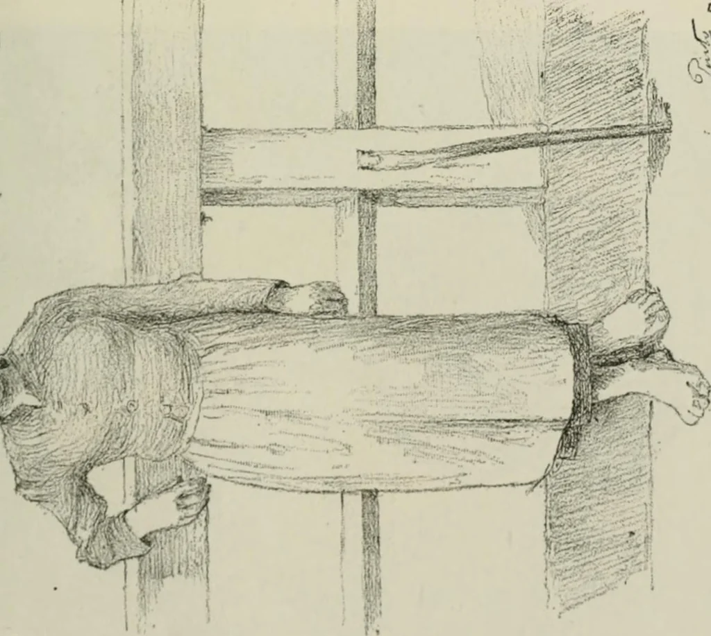 An illustration from Catalogue illustré, 1879, leaf 264