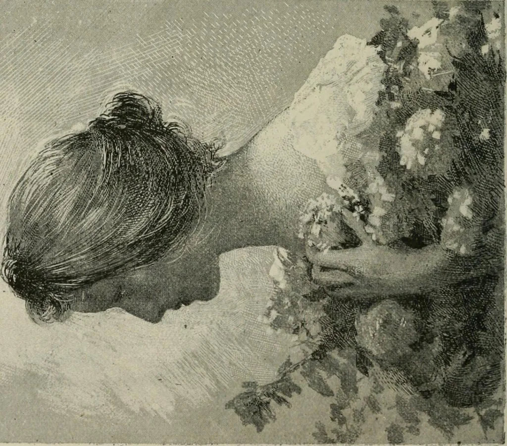 An illustration from Catalogue illustré, 1879, leaf 265
