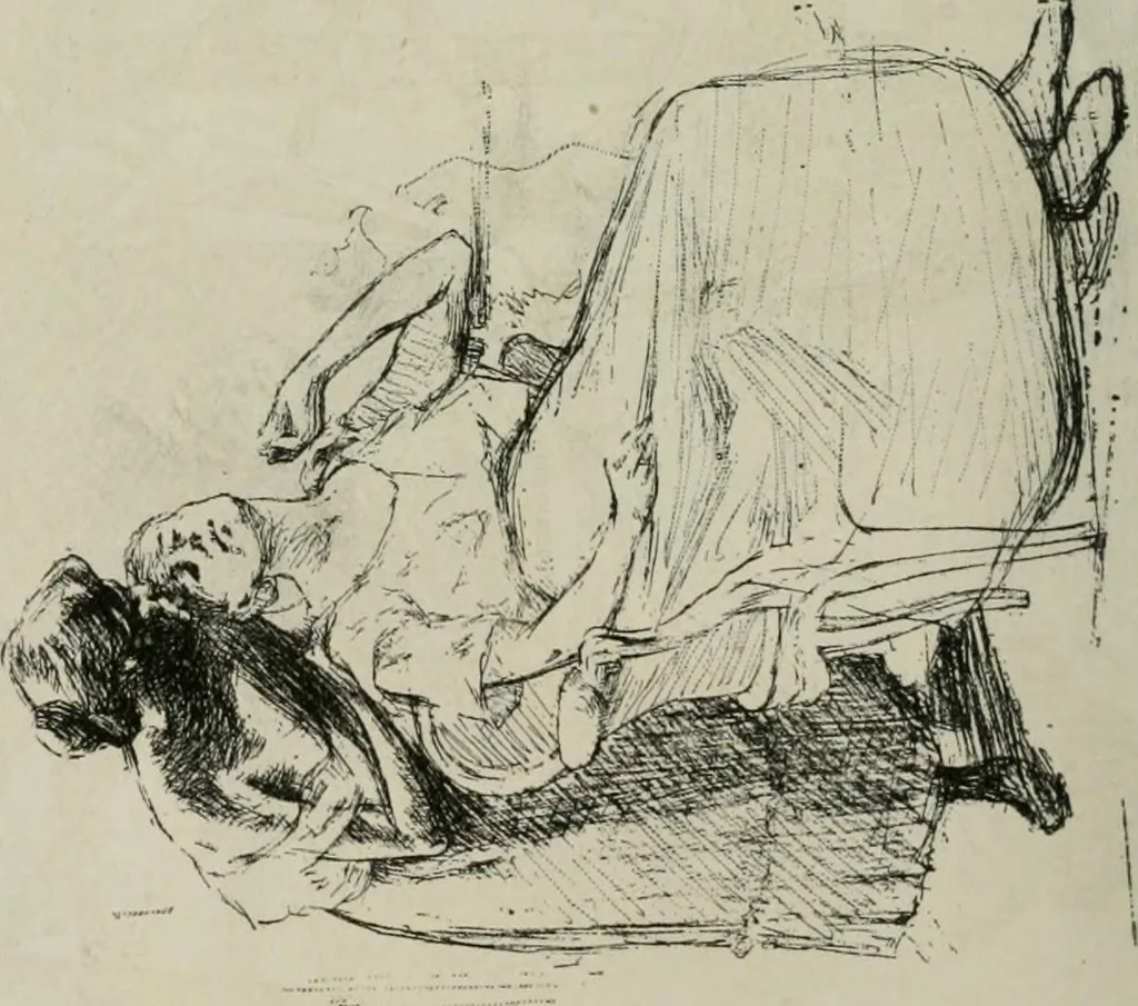 An illustration from Catalogue illustré, 1879, leaf 269