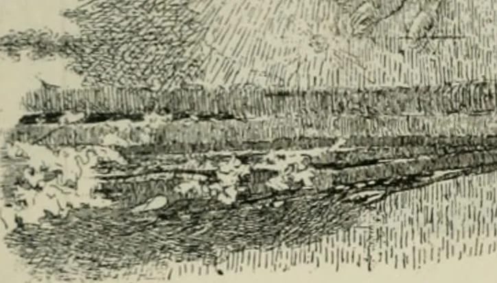 An illustration from Catalogue illustré, 1879, leaf 278