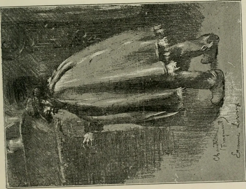 An illustration from Catalogue illustré, 1879, leaf 278
