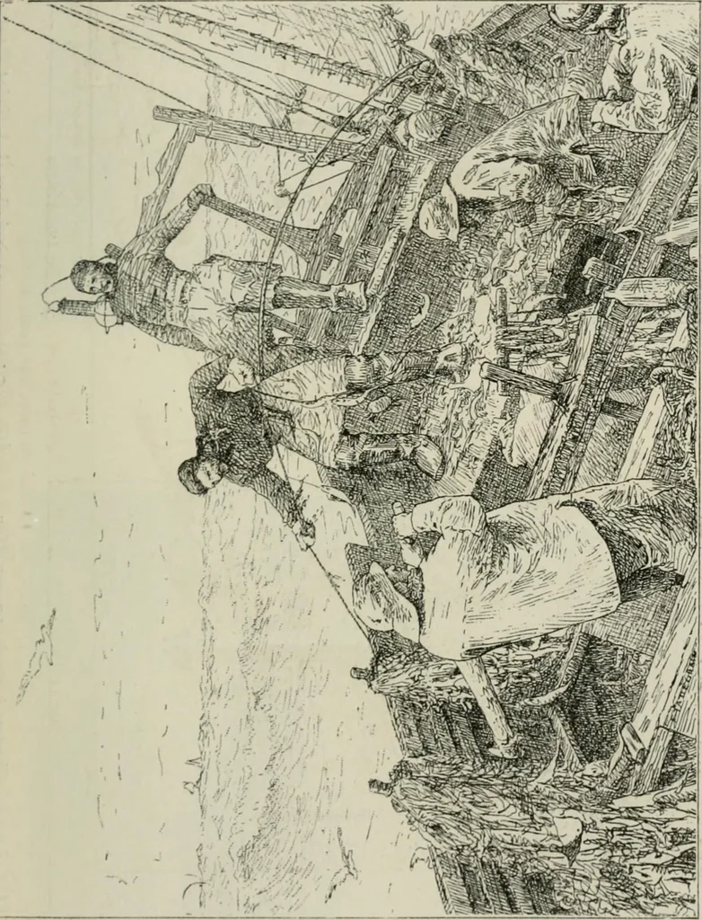 An illustration from Catalogue illustré, 1879, leaf 284