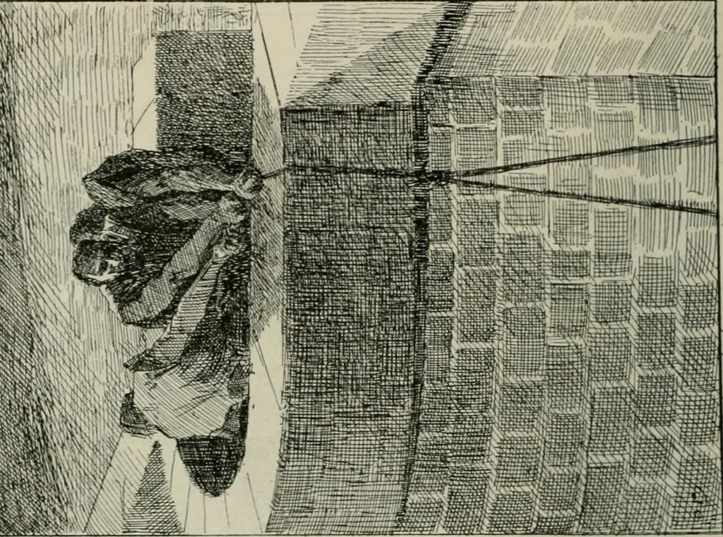 An illustration from Catalogue illustré, 1879, leaf 285