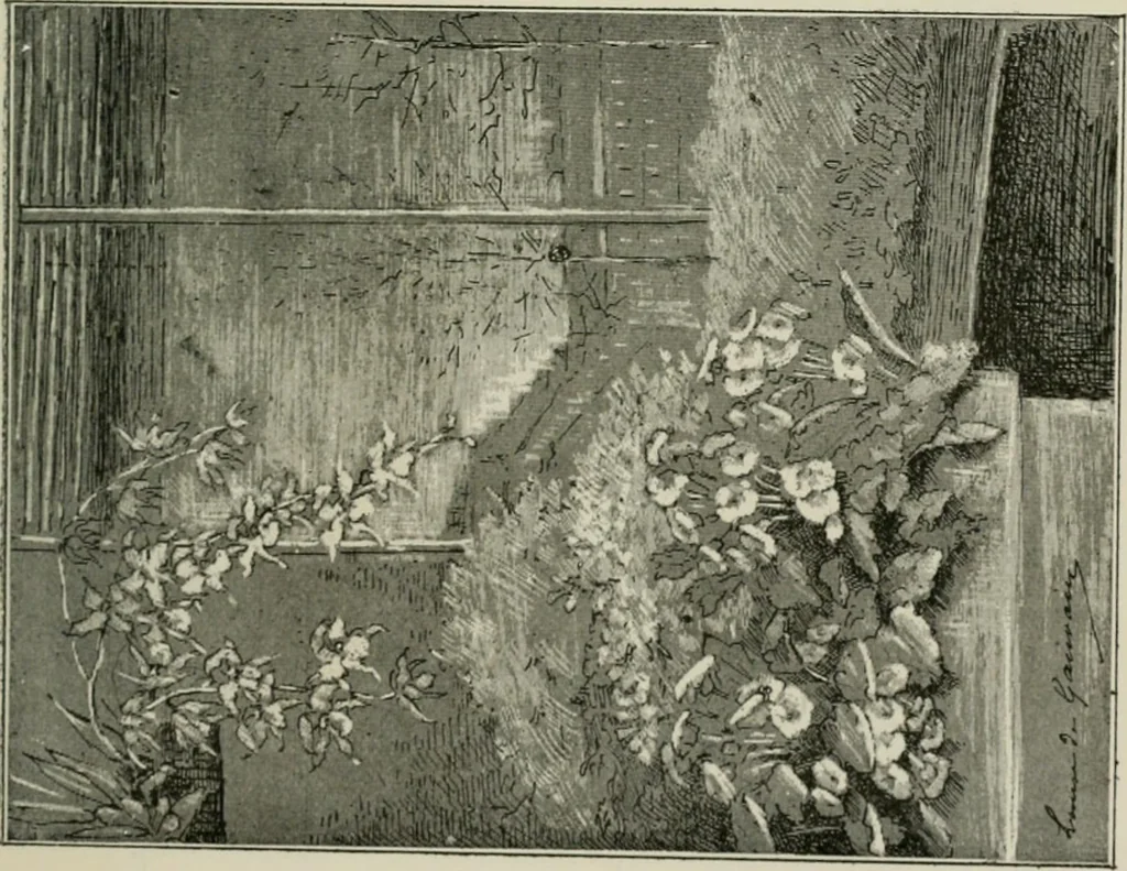 An illustration from Catalogue illustré, 1879, leaf 286