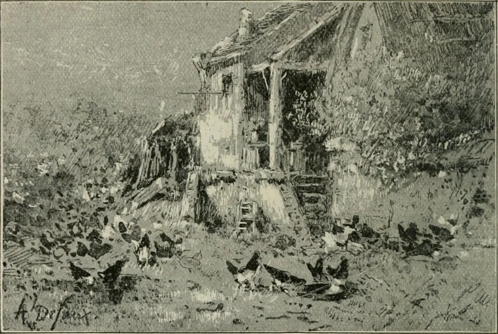 An illustration from Catalogue illustré, 1879, leaf 291