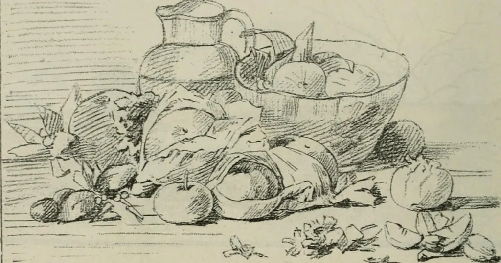 An illustration from Catalogue illustré, 1879, leaf 295