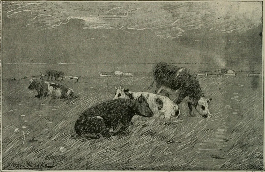 An illustration from Catalogue illustré, 1879, leaf 297