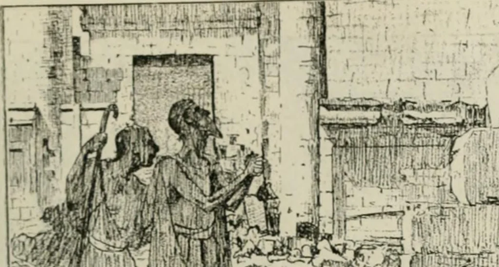 An illustration from Catalogue illustré, 1879, leaf 298