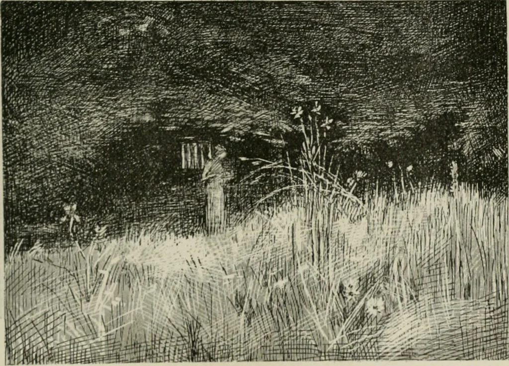 An illustration from Catalogue illustré, 1879, leaf 298