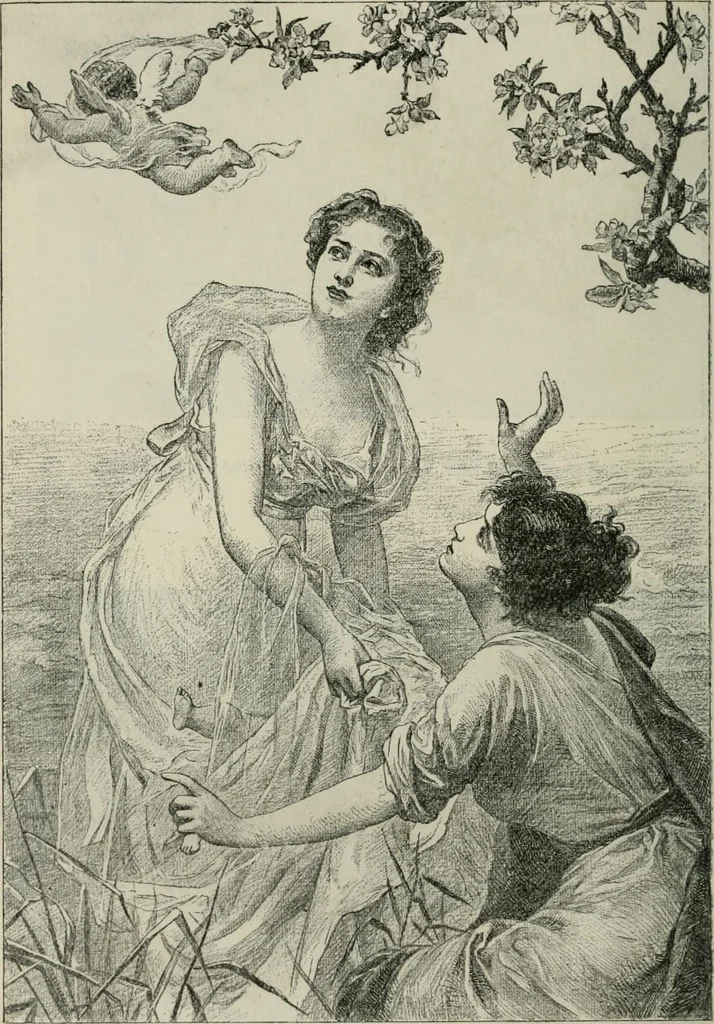 An illustration from Catalogue illustré, 1879, leaf 299