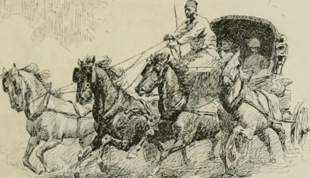An illustration from Catalogue illustré, 1879, leaf 300