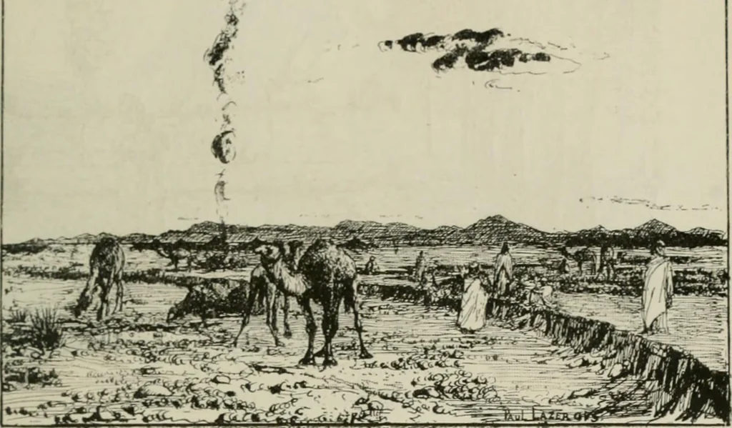 An illustration from Catalogue illustré, 1879, leaf 302