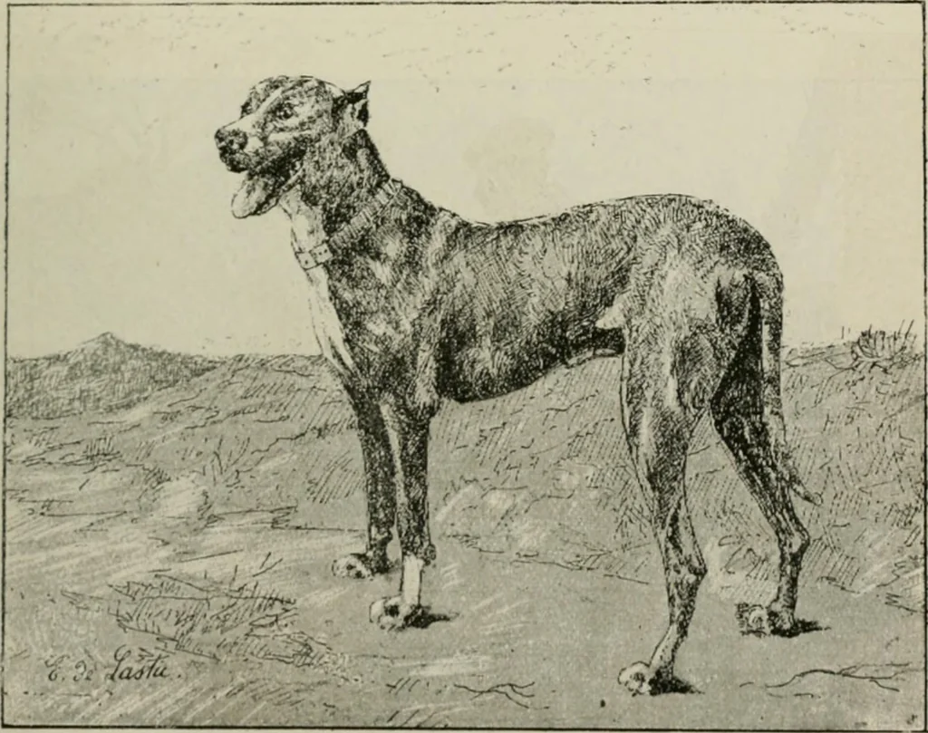 An illustration from Catalogue illustré, 1879, leaf 304