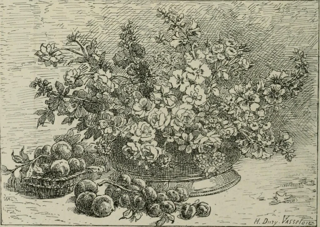An illustration from Catalogue illustré, 1879, leaf 305