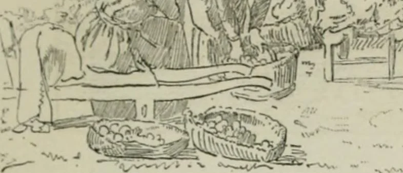 An illustration from Catalogue illustré, 1879, leaf 306