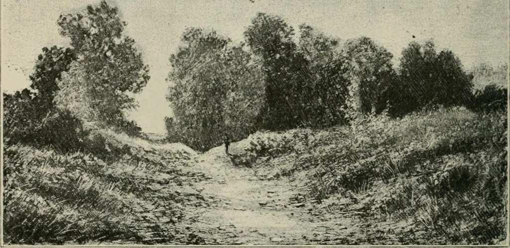 An illustration from Catalogue illustré, 1879, leaf 309
