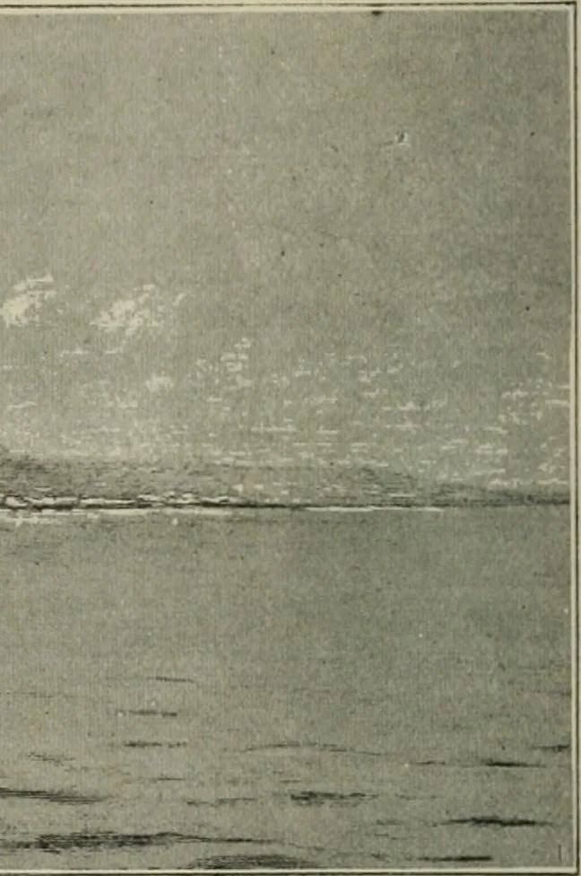 An illustration from Catalogue illustré, 1879, leaf 313
