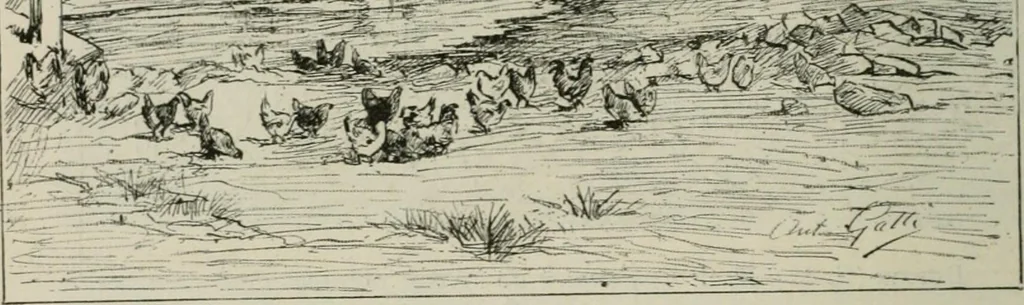An illustration from Catalogue illustré, 1879, leaf 315
